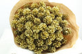 Dried Pine Cone Gold Glitter