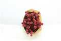 Dried Ilex + Frosted