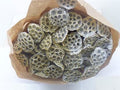 Dried Lotus Wit