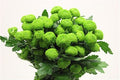 Farm Fresh Spray Chrysanthemum T Deligreen (Bunch of 5 stems, Length 70cm) (PACK OF 2)