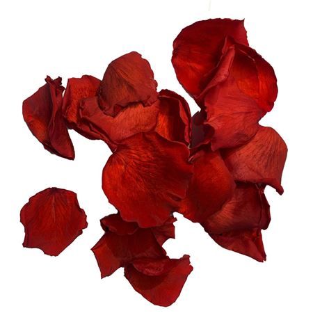 Artificial Preserved Rosa Petals Red 02 100gr