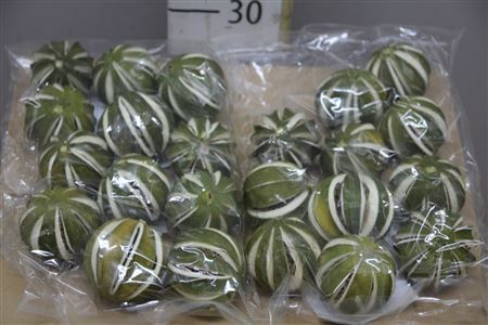 Dried Green Limes Whole 250 Gram