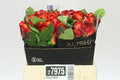 Farm Fresh Rosa Gr Atomic By Bucket (Bucket of 40 stems, Length 40cm)