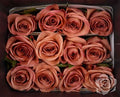 Farm Fresh Rosa Ecuadorian Gr Barista (Bunch of 25 stems, Length 40cm)