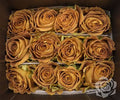 Farm Fresh Rosa Ecuadorian Gr Hearts Of Gold (Bunch of 25 stems, Length 40cm)
