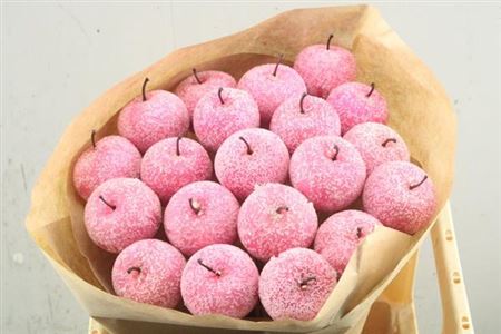 Dried Appel Ice Pink