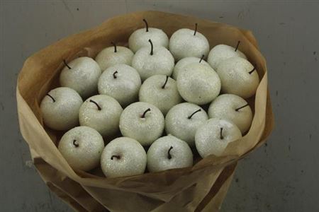 Dried Appel Ice White
