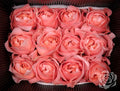 Farm Fresh Rosa Ecuadorian Gr Dragonfly (Bunch of 25 stems, Length 40cm)
