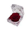Artificial Preserved Rosa Jewel Box Red 01