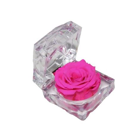 Artificial Preserved Rosa Jewel Box Pink 07
