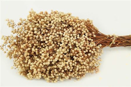 Dried Pepperberries Bleach X2s