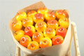Dried Appel Geel/rood