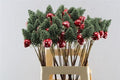 Dried Kerstboom Met Paddestoel