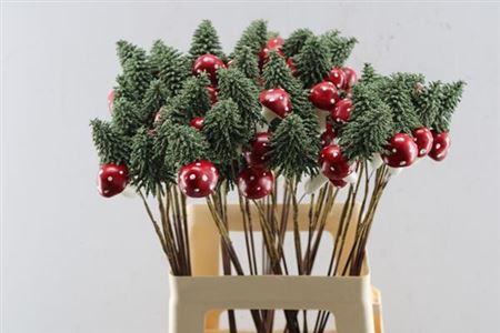 Dried Kerstboom Met Paddestoel
