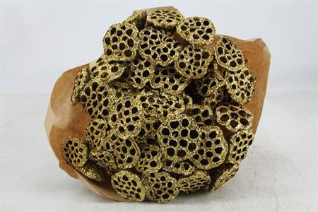 Dried Lotus Gold