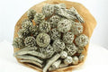 Dried Mix Platina