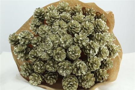 Dried Pine Cone Platinum + Glitt