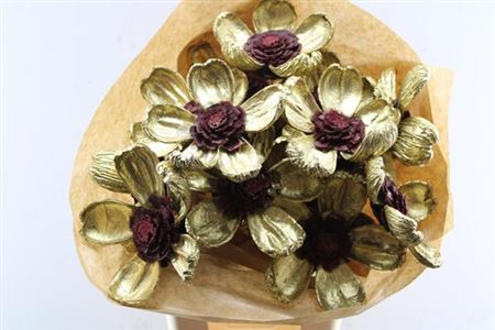 Dried Pineflower Gold/red