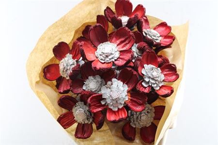 Dried Pineflower Red-silver Auction