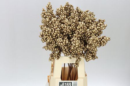 Peper Bes Op Stok Goud