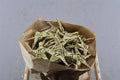 Dried Lata Star Goud