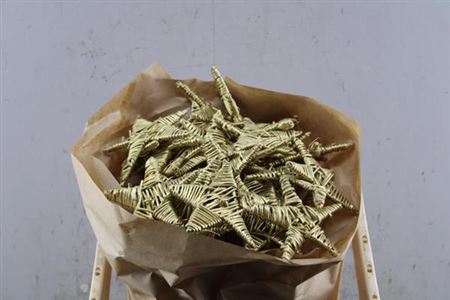 Dried Lata Star Goud