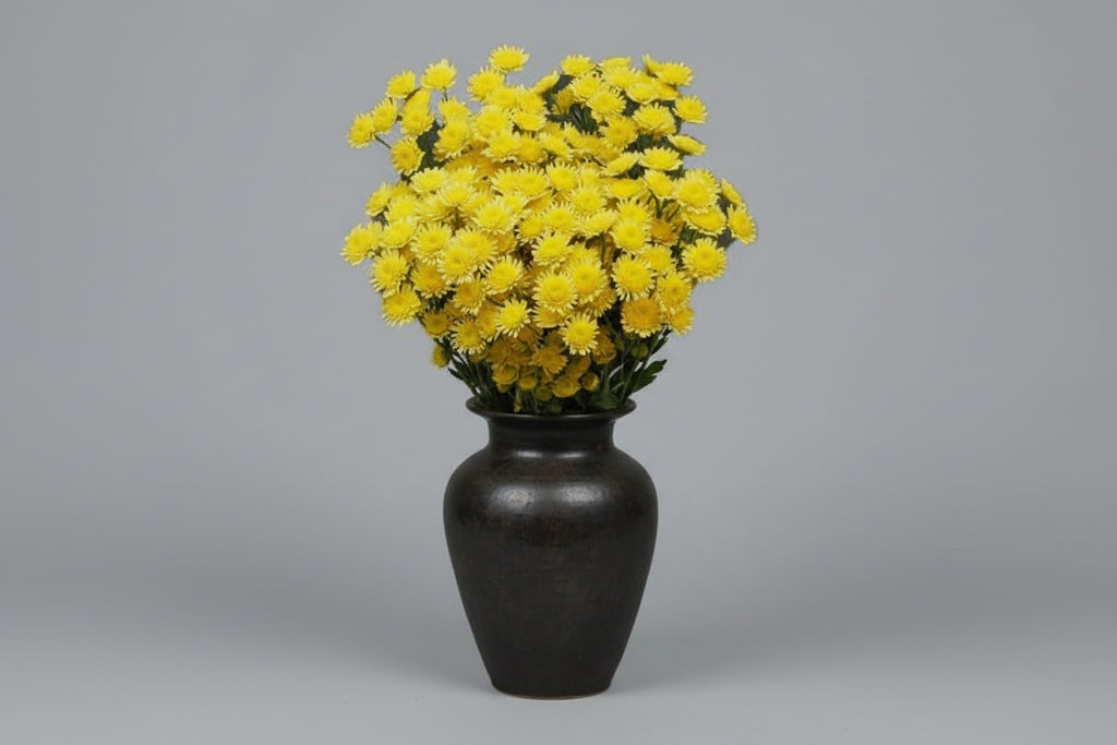 Farm Fresh Spray Chrysanthemum T Stallion Yellow (Bunch of 5 stems, Length 70cm) (PACK OF 2)