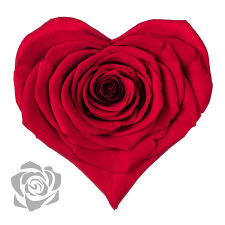 Artificial Preserved Rosa Heart Xxl Red 02