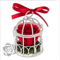 Artificial Preserved Rosa Birdie Red 02