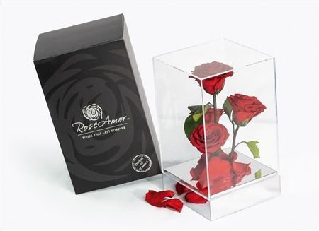 Artificial Preserved Rosa Gb15 Red 02