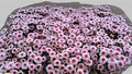 Farm Fresh Santini Mad Bico Tyolo (Bunch of 25 stems, Length 55cm)