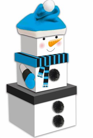 Christmas Nest Box Snowman