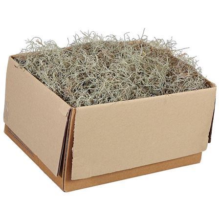 Moss Spaans Mos Fine