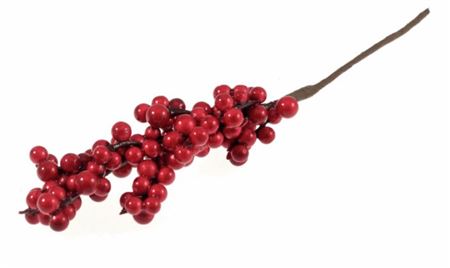 Pick Pepperberries Red 20cm