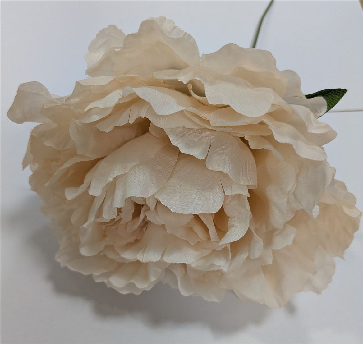Artificial Peony Blush Pick X20