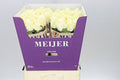 Farm Fresh Rosa Gr Four Seasons +(Bunch of 10 stems, Length 60cm)