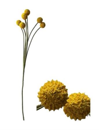 Artificial Craspedia Yellow 60cm
