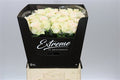 Farm Fresh Rosa Gr Sweet Caroline Extreme(Bunch of 10 stems, Length 60cm)