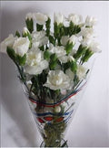 Farm Fresh Spray Carnations White (Bunch of 25 stems, Length 70cm)
