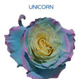 Farm Fresh Rosa Ecuadorian Gr Tinted Unicorn (Bunch of 25 stems, Length 60cm)