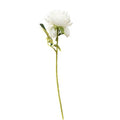 Artificial Peony White 50cm (Pack of 4)