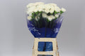 Farm Fresh Carnation Moongolem (Bunch of 20 stems, Length 70cm)