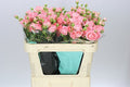 Farm Fresh Rosa Tr Femeke(Bunch of 5 stems, Length 70cm)(Pack of 2)