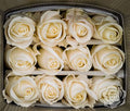 Farm Fresh Rosa Ecuadorian Gr Tibet (Bunch of 25 stems, Length 60cm)
