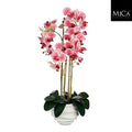 Phalaenopsis In Pot Pink 40x34x82cm