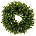 Wreath Forest Eucalyptus Dark Green 50cm