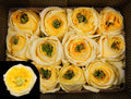 Farm Fresh Rosa Ecuadorian Garden Sunny Days Rosa (Bunch of 25 stems, Length 40cm)
