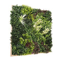 Artificial Framed Living Wall 100x100cm