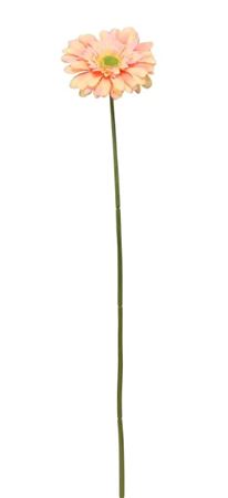 Artificial Gerbera Peach 72cm (PACK OF 4)