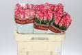Farm Fresh Rosa Gr Spark Condor (Bunch of 10 stems, Length 60cm)